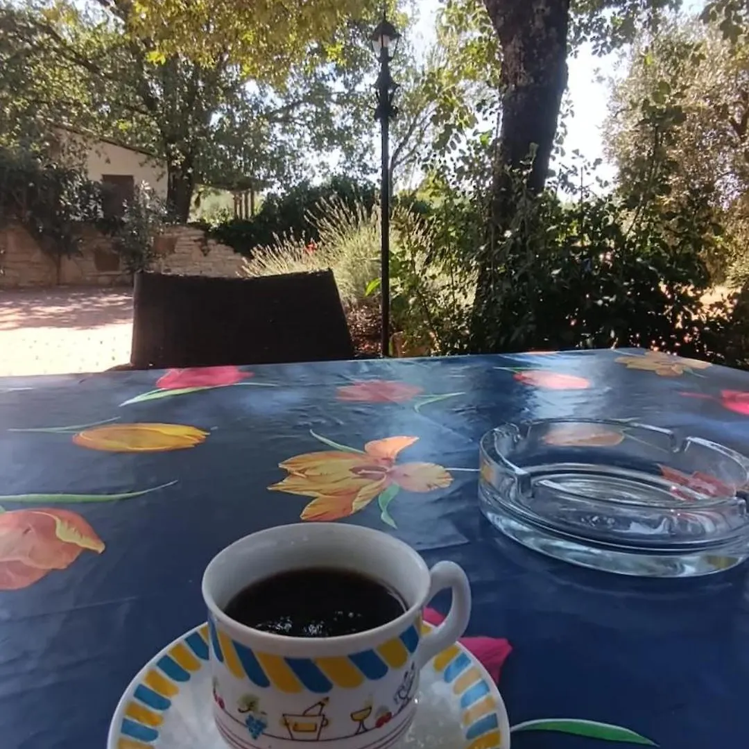 Sunny Holiday Home Rovinj