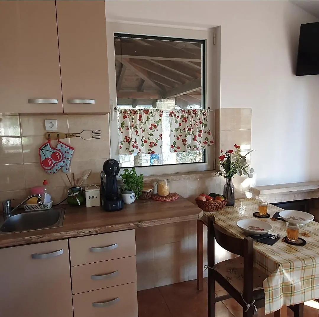 Sunny Holiday Home Rovinj Croatia